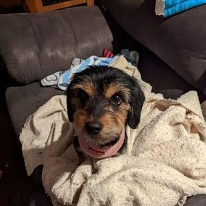 Meet your Posher, Gilberte